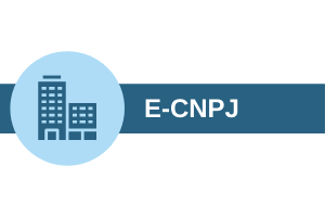 e-CNPJ